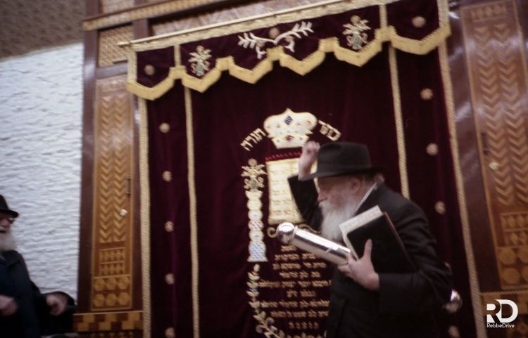 המציאות מחייבת: למחות כל זכר